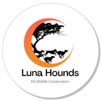 Luna Hounds