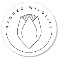 Nkonzo Wildlife